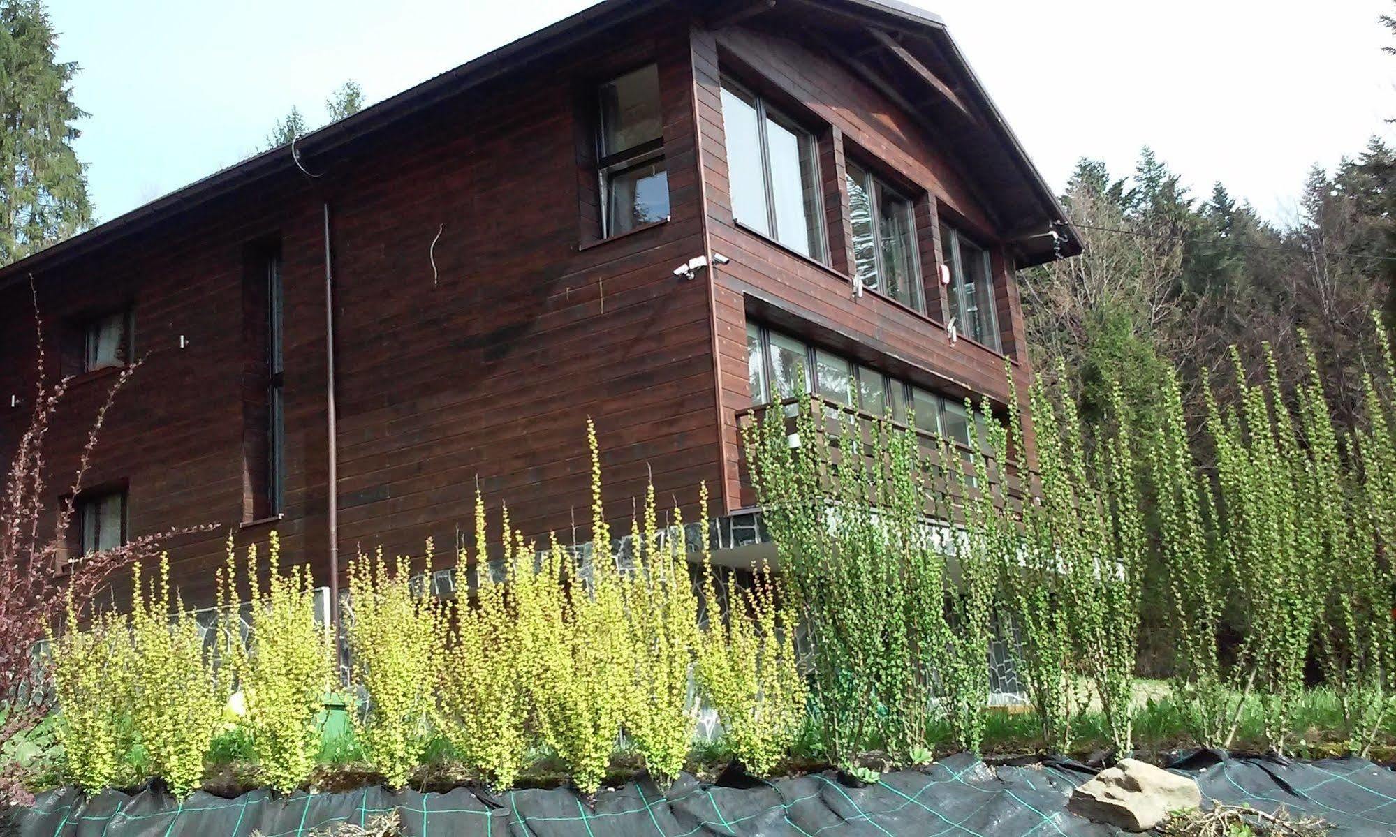 Karolinka Guest House Szczyrk Dış mekan fotoğraf